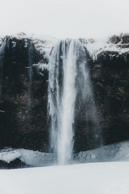 white mountain guide