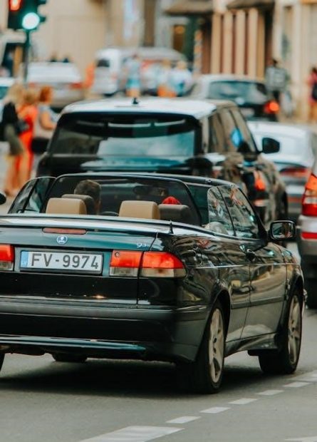 international driving license application form