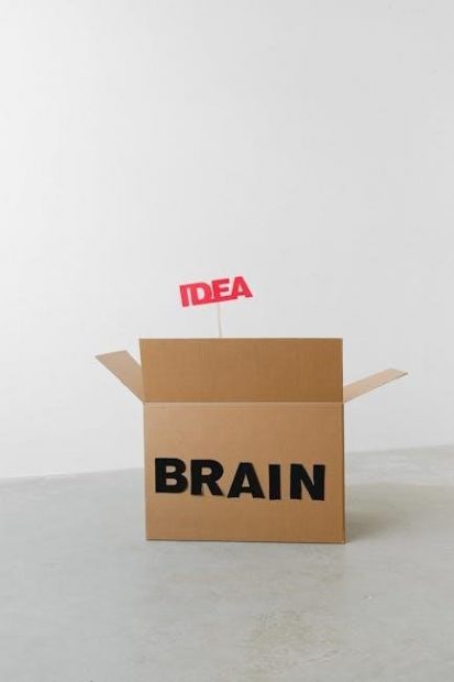 brain flakes instructions