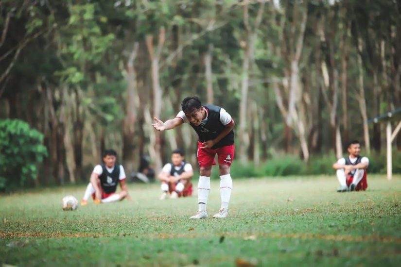 the practice of statistics 6th edition solutions pdf